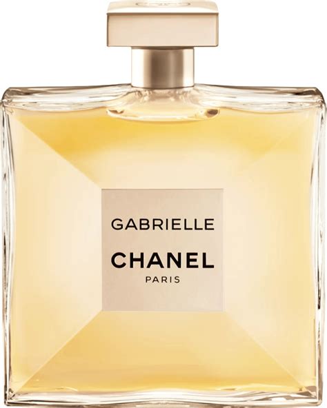 chanel gabriele|chanel gabrielle best price.